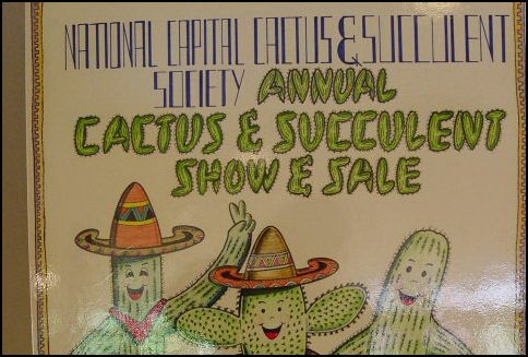 Show and Sale Logo